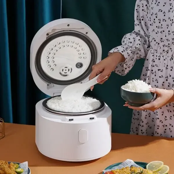 Умная рисоварка 110В, 3 л, для – обзор и цена Kitchen Appliances Canada